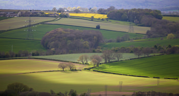 This landscape photograph captures a rural scene dominated by power lines stretching across agricultural fields, illuminated by spots of sunlight in the afternoon during spring. The gently rolling countryside is marked by areas of shadow and light, highlighting the vibrant green of the crops and the yellow rapeseed fields in the distance. Clusters of trees border the fields, creating natural boundaries and lending a sense of depth to the image. The presence of rural power lines underscores the connection between agriculture and infrastructure in the area, as they traverse the farmland and wooded areas. Spring growth is evident, with trees partially leafed out and the rapeseed fields in full bloom, creating a patchwork of color and texture across the landscape.